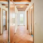 Spada Premium Apartments *